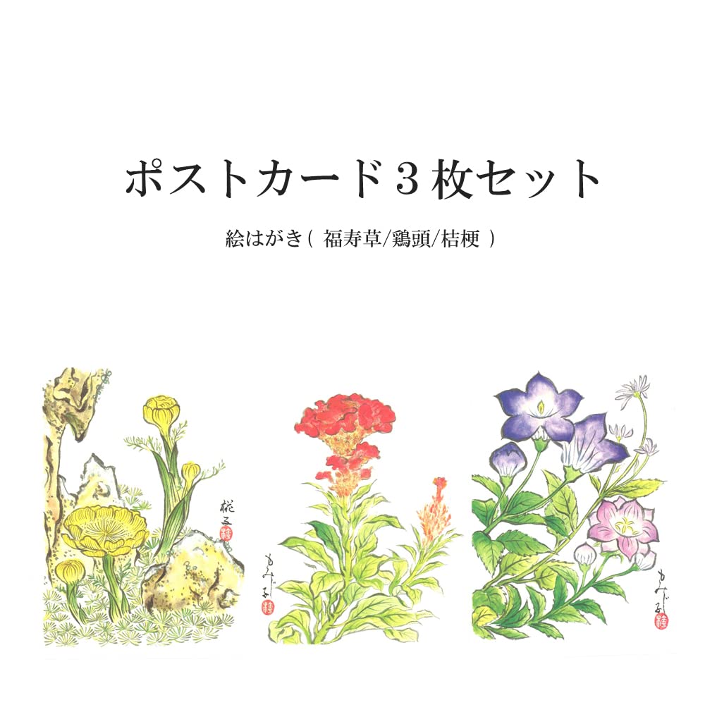 Amazon | ポストカード 3枚セット【H】 絵はがき 福寿草 鶏頭